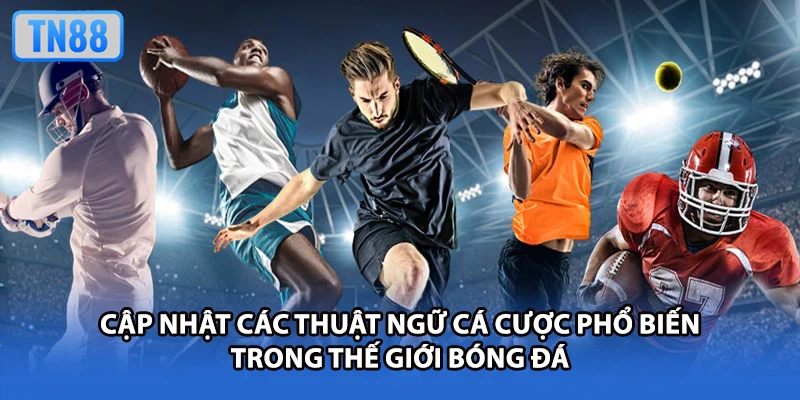 Cập nhật các thuật ngữ cá cược phổ biến trong thế giới bóng đá