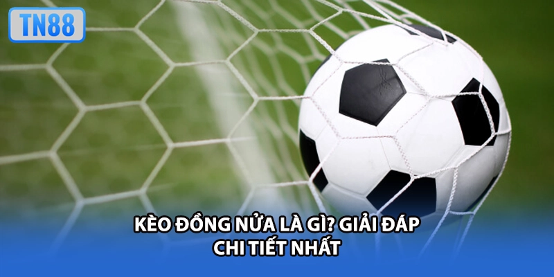 Kèo đồng nửa là gì? Giải đáp chi tiết nhất
