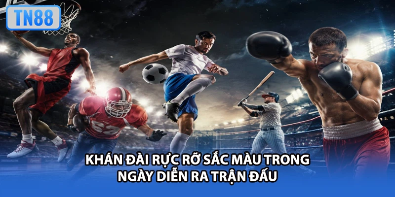 Khán đài rực rỡ sắc màu trong ngày diễn ra trận đấu
