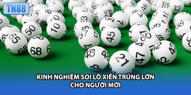 Kinh nghiệm soi lô xiên trúng lớn cho người mới