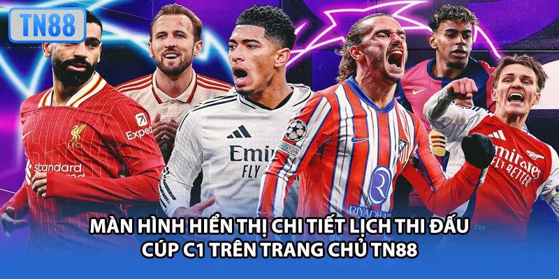 Màn hình hiển thị chi tiết lịch thi đấu cúp C1 trên trang chủ TN88