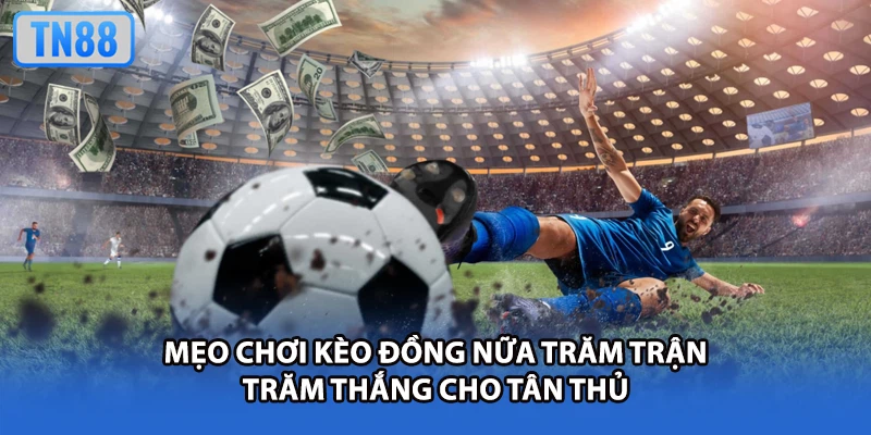 Mẹo chơi kèo đồng nữa trăm trận trăm thắng cho tân thủ