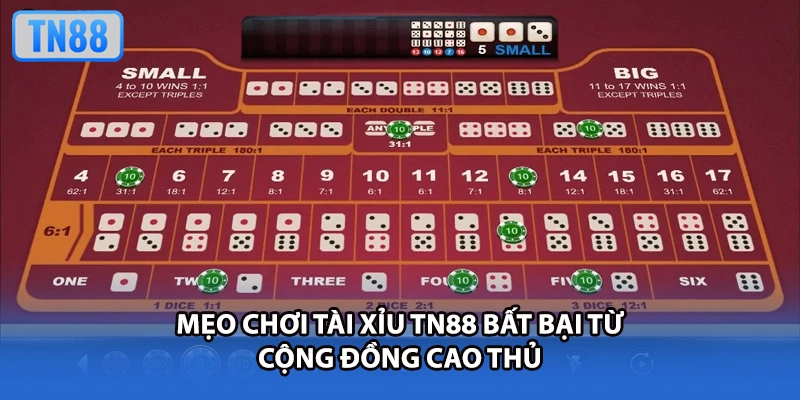 Mẹo chơi tài xỉu TN88 bất bại từ cộng đồng cao thủ
