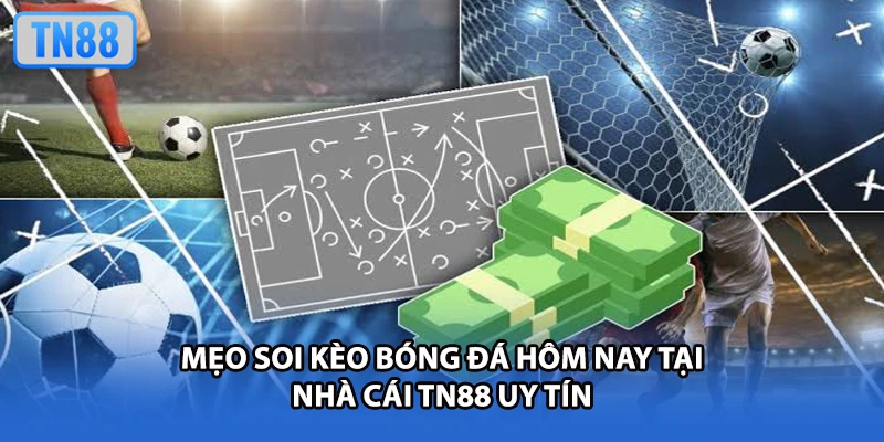 Mẹo soi kèo bóng đá hôm nay tại nhà cái TN88 uy tín