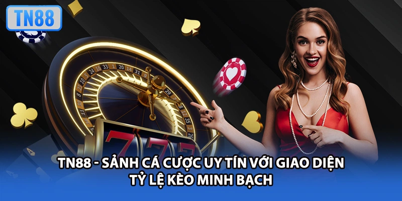 TN88 - Sảnh cá cược uy tín với giao diện tỷ lệ kèo minh bạch
